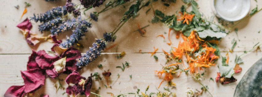 Jarní detox: Respektujte svůj zimní rytmus i během přechodného období