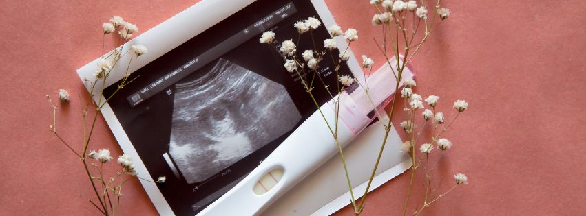 Bazální teplota po oplodnění