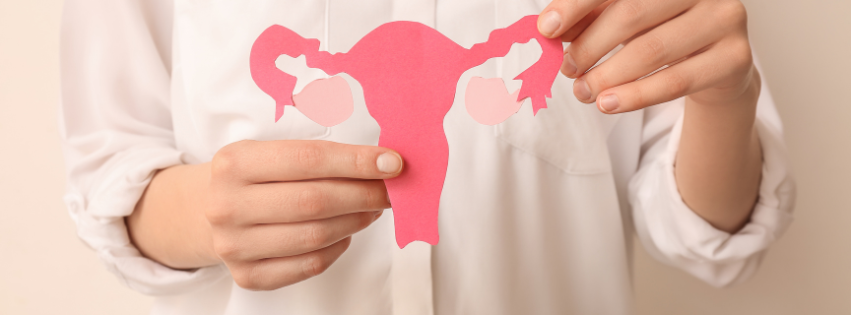 Estrogeny a progesteron