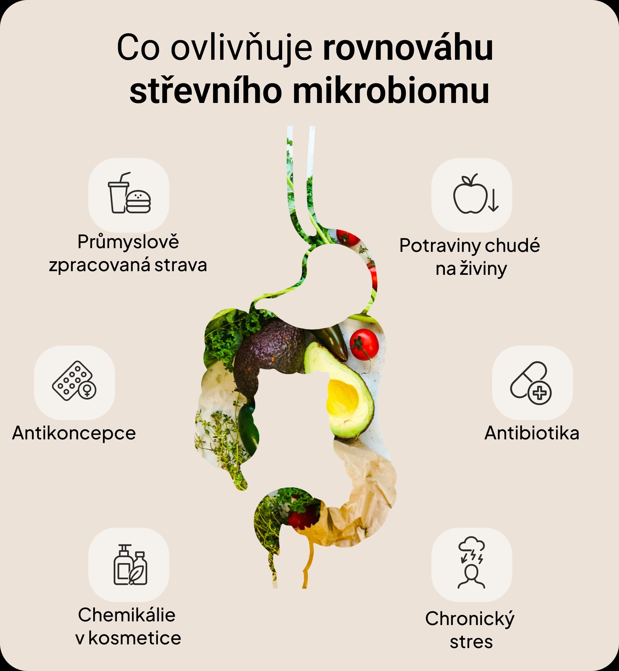 Co ovlivňuje hormonální rovnováhu