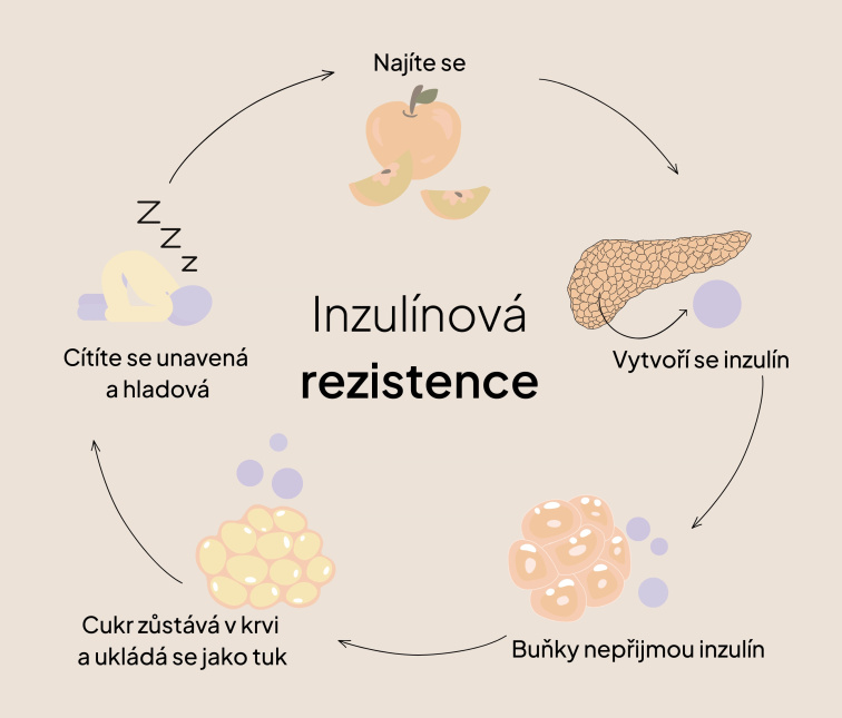 Inzulinová rezistence