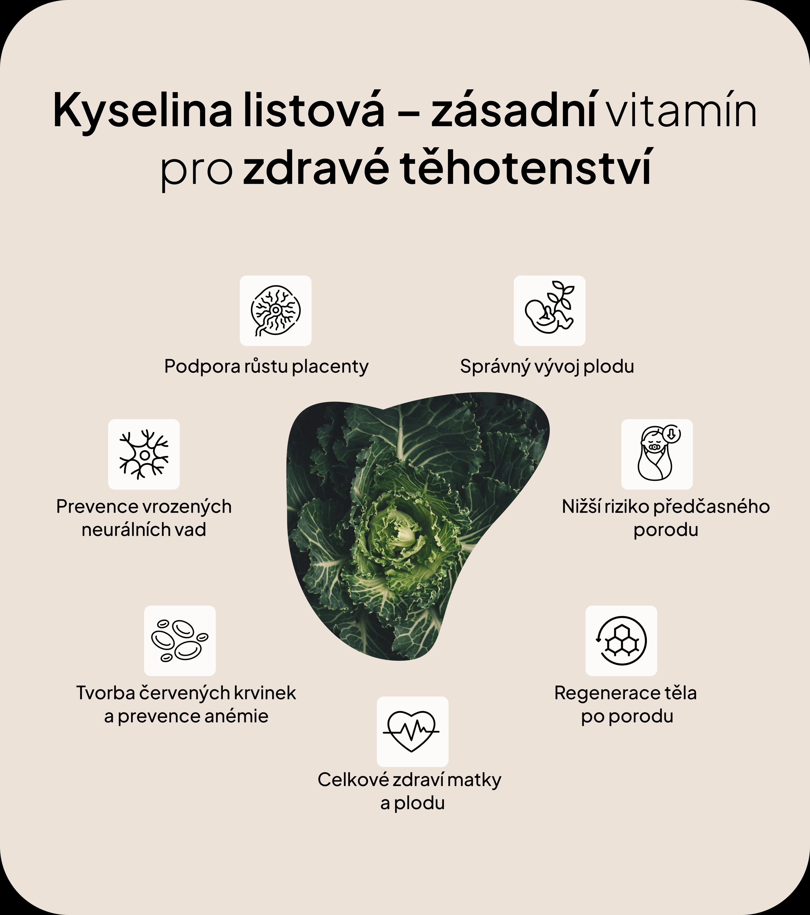 Kyselina listová – zásadní vitamín