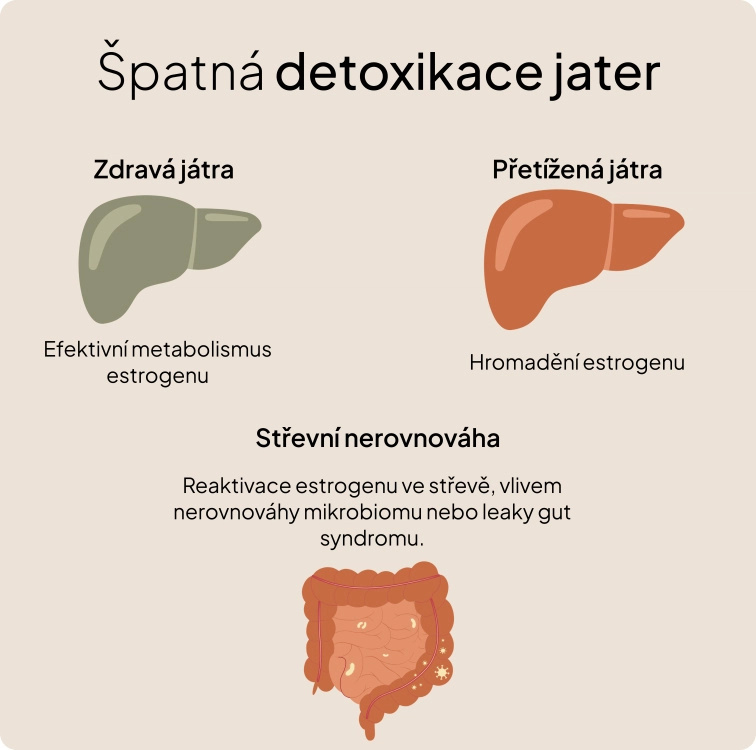 Podpora přirozených detoxikačních procesů