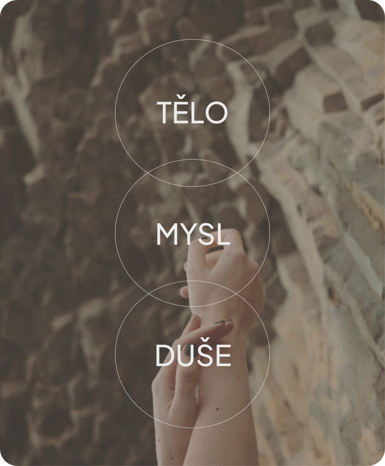 telo_mysl_duse