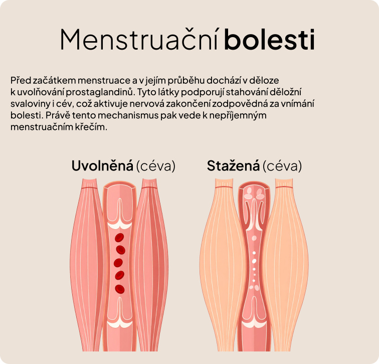 Jak se rozhodnout: kontrolní seznam