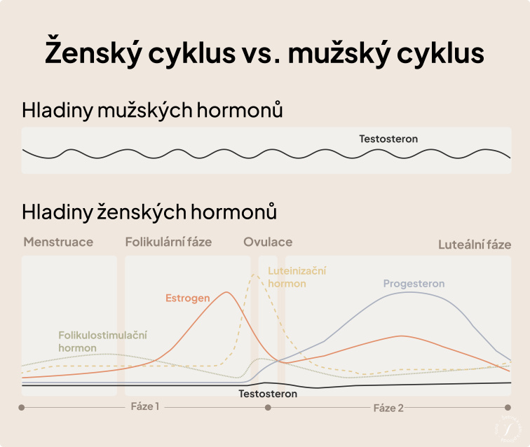 Věda za norethisteronem