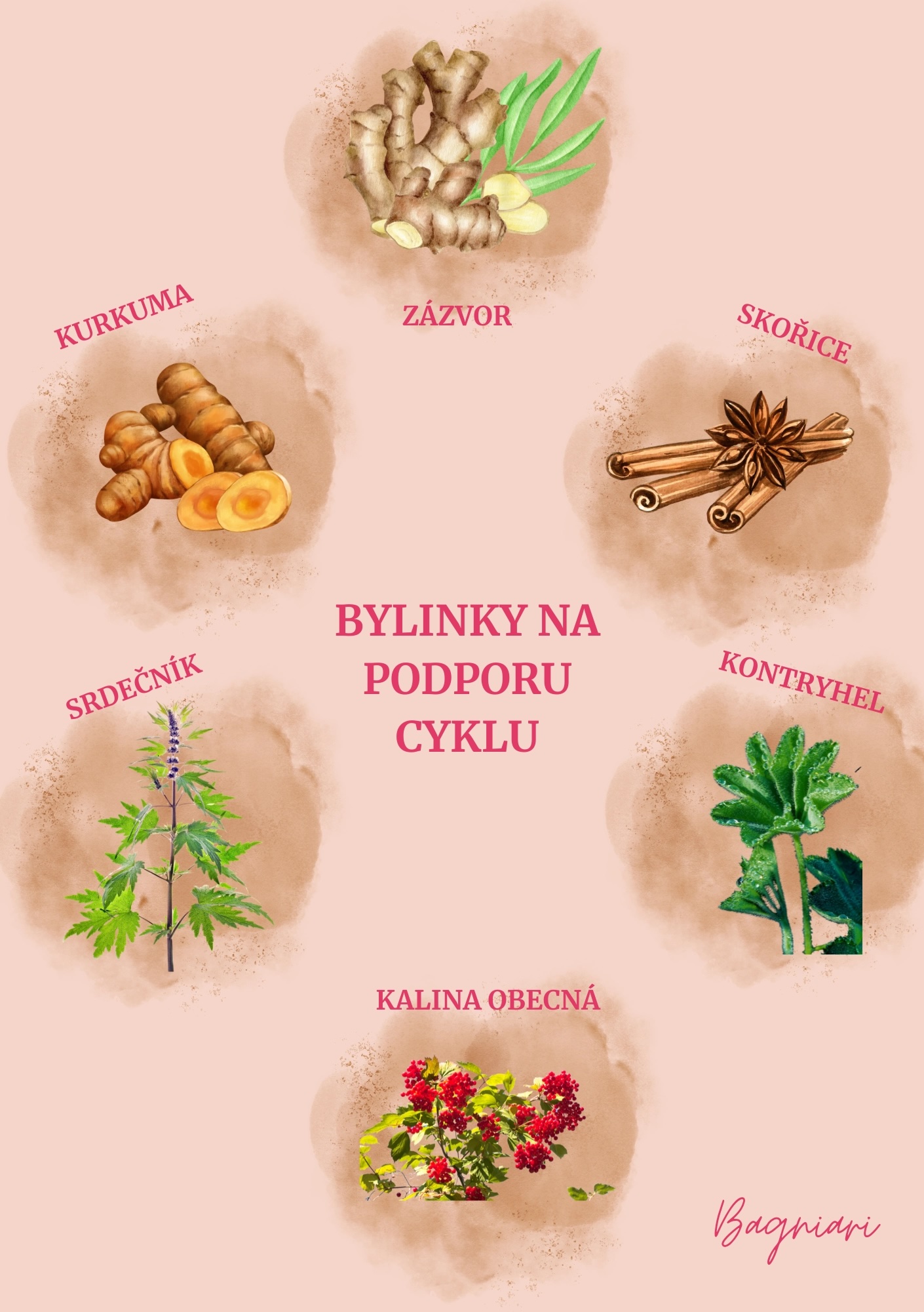 Bylinky na podporu cyklu