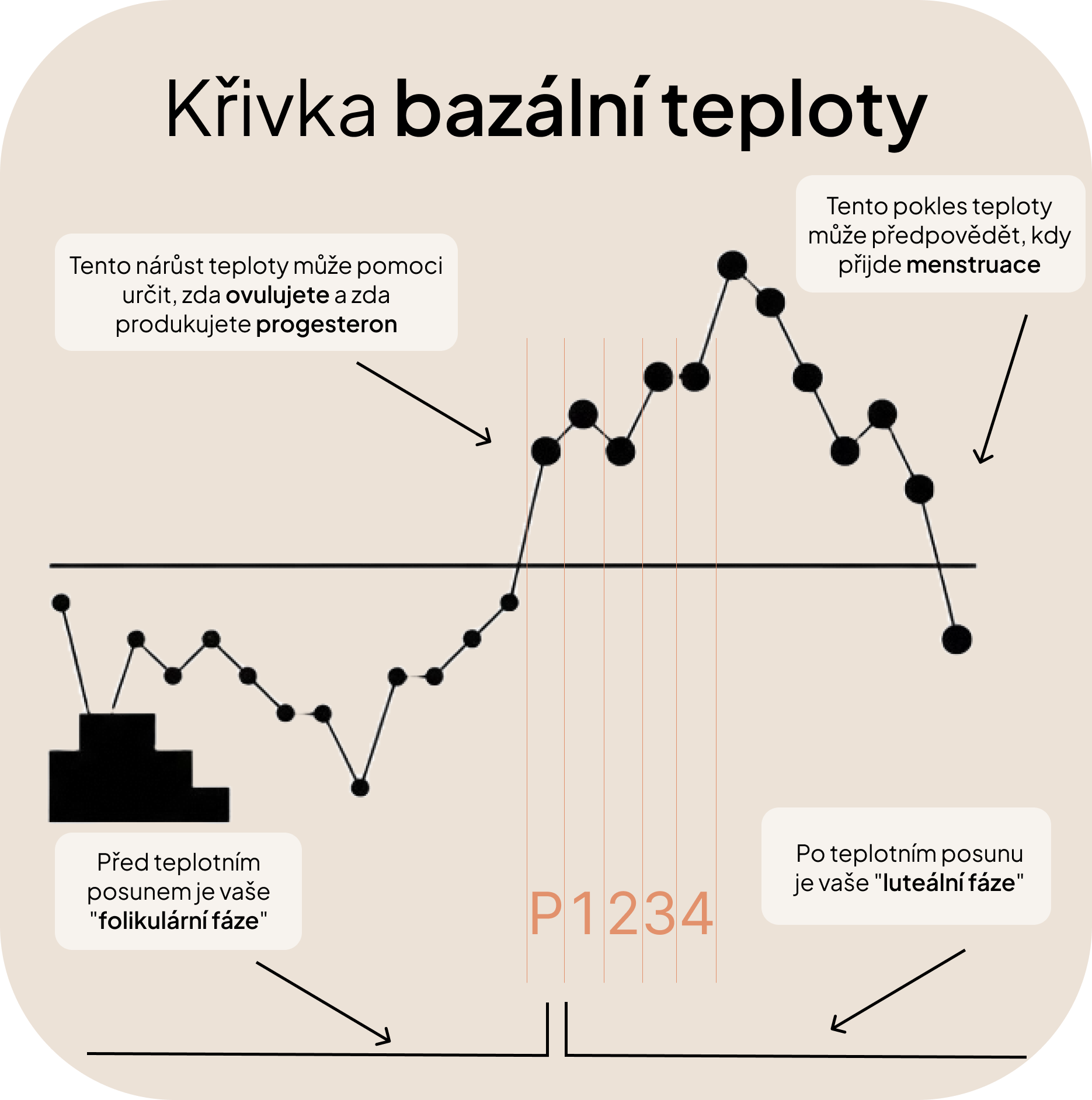 Křivka bazální teploty