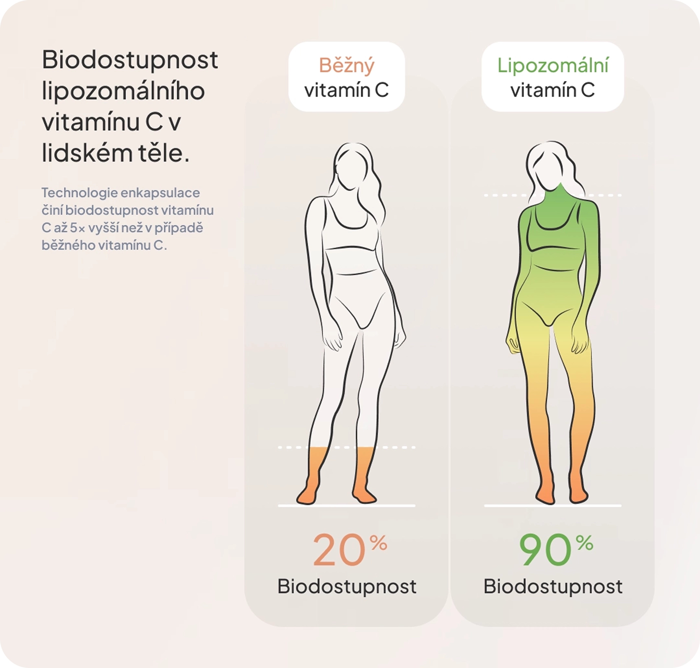 Biodostupnost vitamínu C
