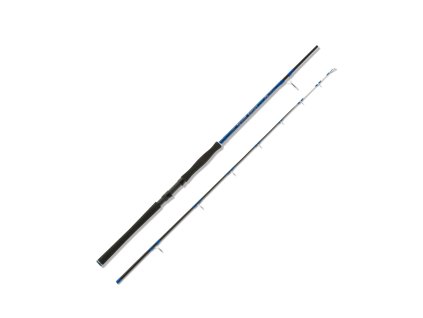 Aquantic prut Epoxy Tip 80 - 240 g 240 cm