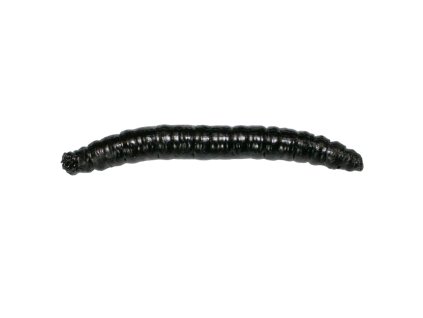Revol Baits nástraha Crane Fly larva 45mm příchuť sýr-česnek, barva černá 12ks