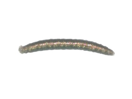 Revol Baits nástraha Crane Fly larva 45mm příchuť sýr-česnek, barva šedý chameleon 12ks