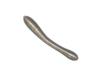 Revol Baits nástraha Leech 50mm příchuť krevetka, barva šedý chameleon 12ks