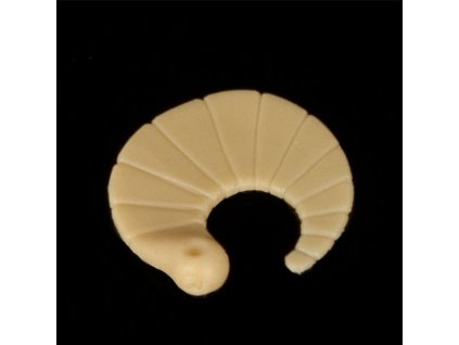 Iron Trout gumová nástraha Coda vzor CR 2,5 cm 6 ks