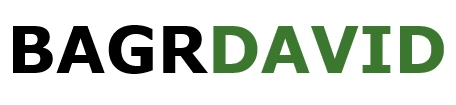 BagrDavid