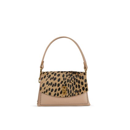 25510DALMATATAUPE1 2d7e3296 92c0 4908 81db 845615143593