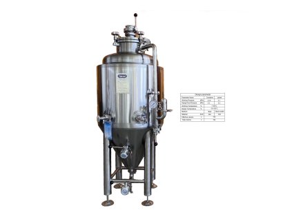 KL01670 150LConicalFermenter