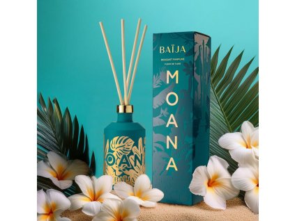 product baija vonny difuzer scented diffuser xl 365 ml 2 ean 9302000045991