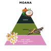 pyramidy 2