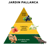 pyramidy 24