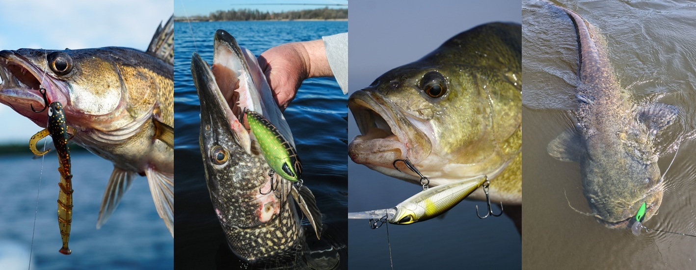 /vodní fotka eshopu