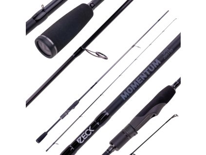 200440 Momentum Spin 205 10 comp