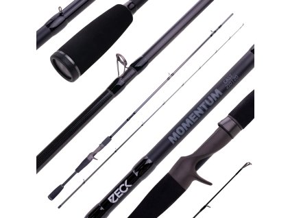 200443 Momentum Cast 210 20 comp