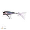 240217 Vito minnow