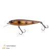 540038 Dundee 13 5cm 3 5m SP Spotted Bullhead
