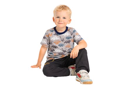 chlapceké tričko, dinosauři, model