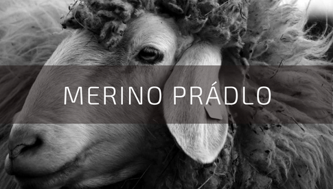 Nabídka funkčního prádla z merino vlny