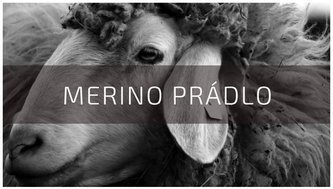 Nabídka funkčního prádla z merino vlny