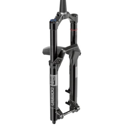 RockShox Domain Gold RC 29 SB 170 BLK 44 C1