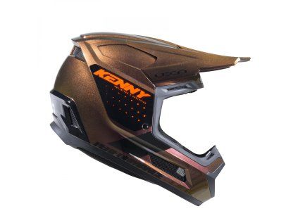 performance graphic chameleon he (2)