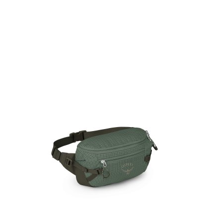 Osprey Transporter Waist Pack, ľadvinka - Pine Leaf