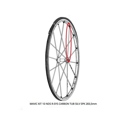 Mavic R-Sys Carbon, súprava špicov (Kit 10 NDS) - 283,5 mm - pre galuskové kolesá