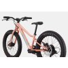 C22 C51152U Kids Trail Plus SAL D5