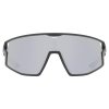 Uvex Skyryse, okuliare - Black Matt/Mir.Silver