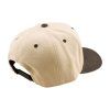 TLD Curved, šiltovka - Hat Imprint Pumice / Black