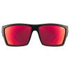 Uvex LGL 29, okuliare - Black Mat/Mir. Red (2213)