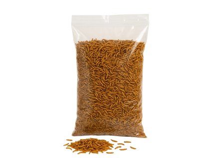 Sušené Múčne červy 1kg
