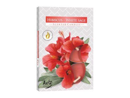 Sviečka čajová 6ks Hibiscus - White sage