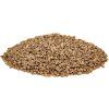 241 slnecnicove semiacka lupane 10x1kg