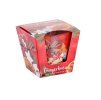 GINGERBREAD 115g sviečka v skle Bartek