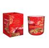 CHRISTMAS FRUIT GARDEN apple with cinnamon 150g sviečka v skle Bartek