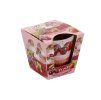 FRUIT MUFFINS cherry and strawberry 115g sviečka v skle Bartek
