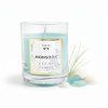 CLASSIC GLASS MONSOON sea breeze 250g (2)
