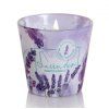 lavender mint vonna sviečka