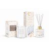 ANGEL WINGS set