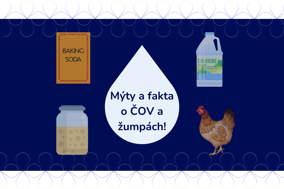 Mýty a fakta o ČOV a žumpách: Proč jsou bakterie důležitější než chlor či droždí